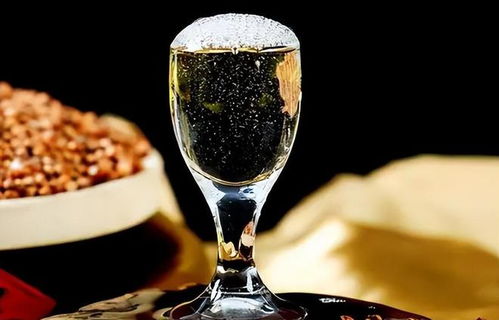 低價淘好酒有門道 避開即飲型，記住三要點，便宜也能喝到好滋味