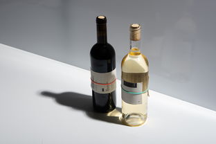 零酒精也能暢飲？探尋即飲型無酒精飲料的新風潮